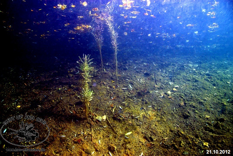 TG384-Sundhaeuser See 2012-10-21-004 (15)